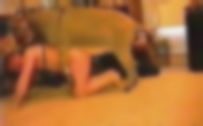 beastiality videos, zoo porn videos